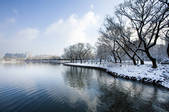 tkf005_246377
