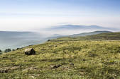 tkf005_247942