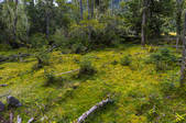 tkf005_295405