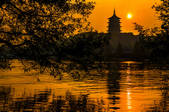 tkf005_296316