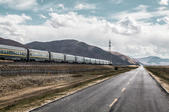 tkf005_300861