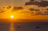 tkf005_302137
