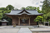 tkf005_302161