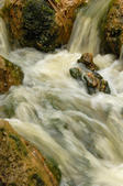 tkf005_302841