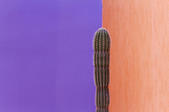 tkm005_103677