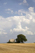 tkm005_105571