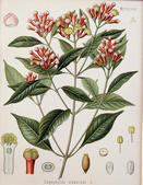 tkm005_106203