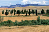 tkm005_106958
